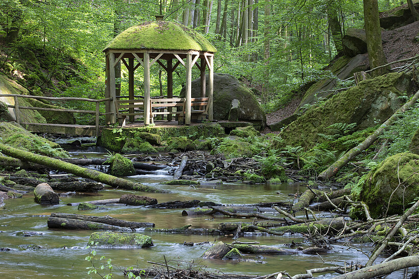 Wald darunter ein Fluss, eine Brücke führt zu Holzpavillon das mit Moos bedeckt ist