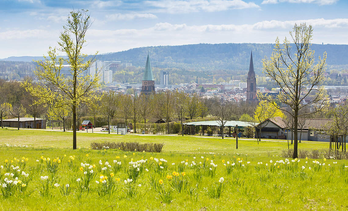 Grünfläche in Gartenschau mit Blick auf die Stadt Kaiserslautern