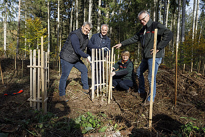 Ehemaliger SWK-Vorstand und weitere Personen im Wald stehen nebeneinander um einem neu gepflanzten Baum herum