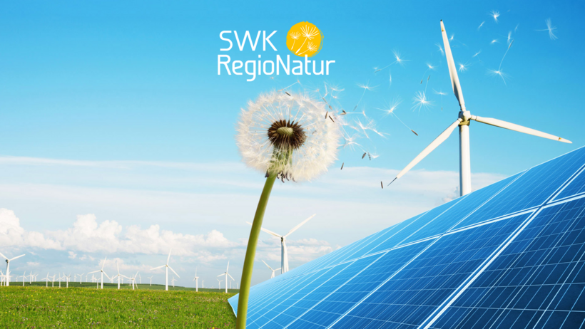 Solar-Anlage, Windräder und Pustenblume SWK Regio Natur